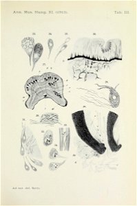 n660_w1150