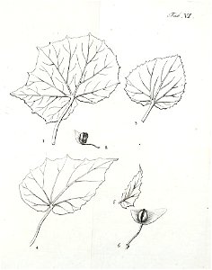 n568_w1150