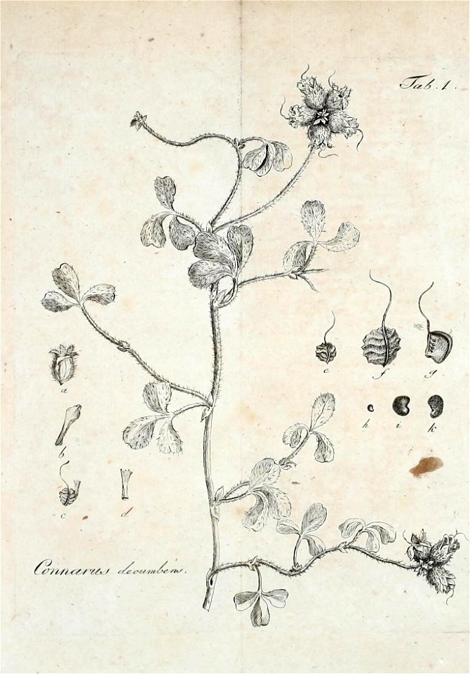 n508_w1150