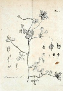 n508_w1150