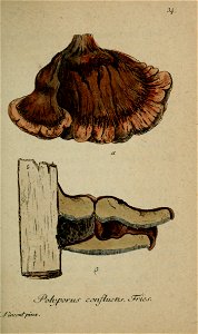 n148_w1150