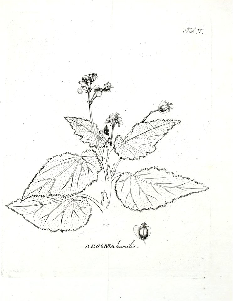 n564_w1150