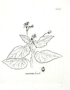 n564_w1150