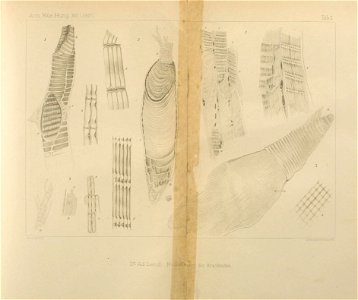 n468_w1150