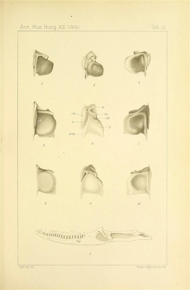 n622_w1150