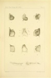 n622_w1150
