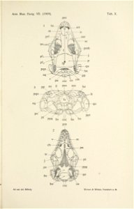 n664_w1150