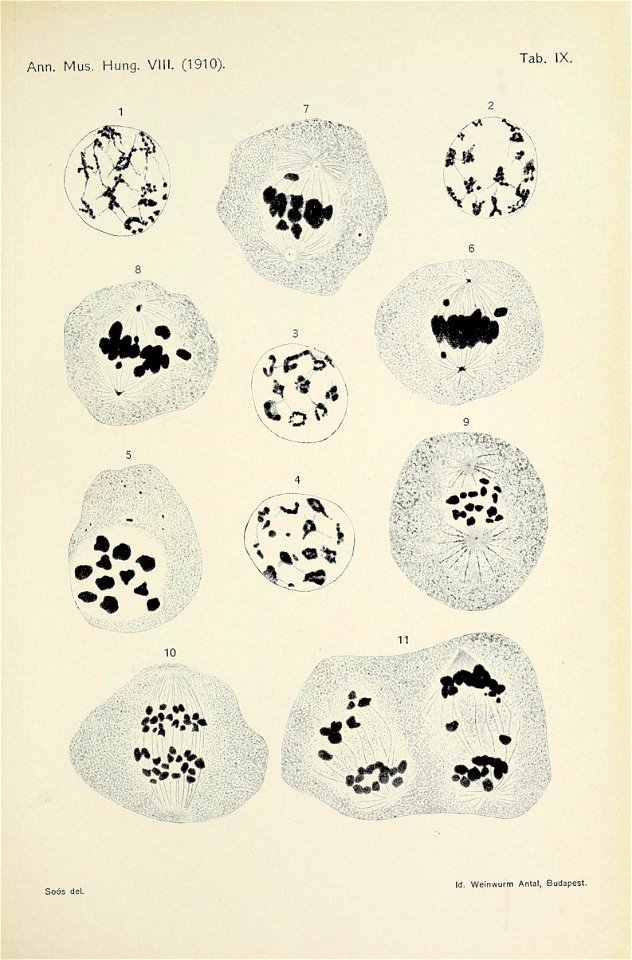 n622_w1150