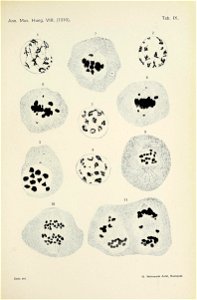 n622_w1150