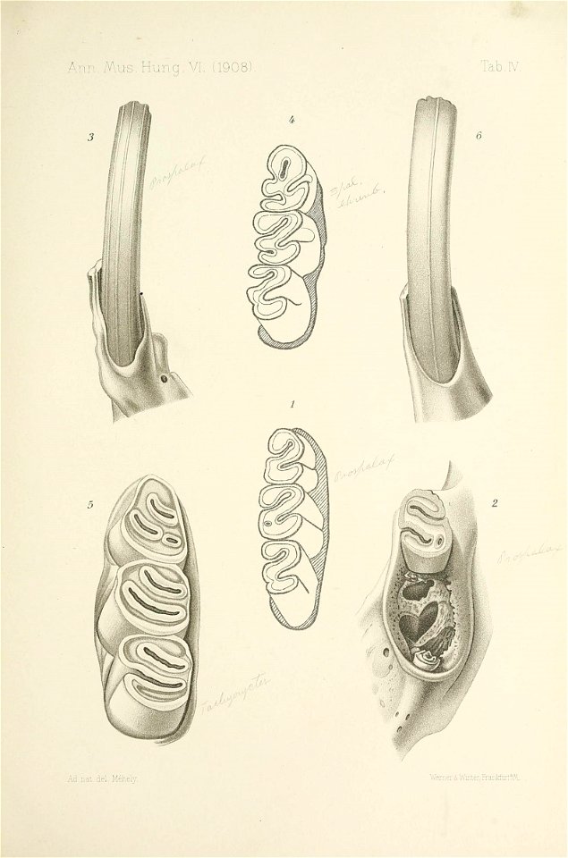 n618_w1150