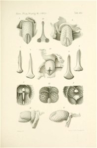 n682_w1150