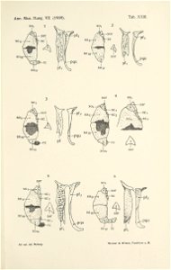 n690_w1150