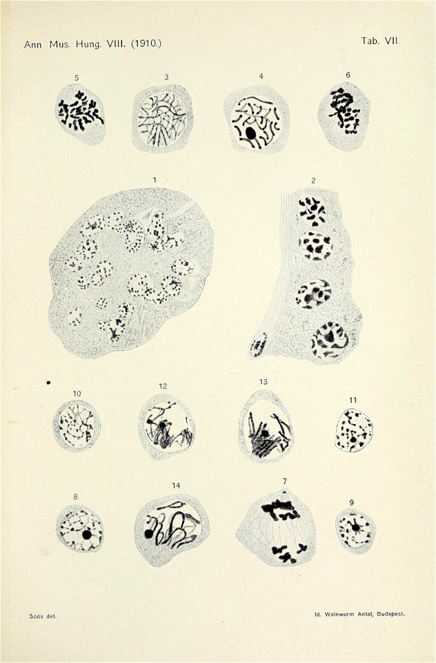 n618_w1150