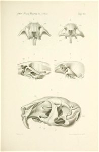 n678_w1150