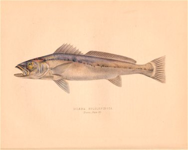 n67_w1150