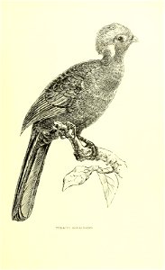n116_w1150