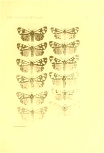n164_w1150