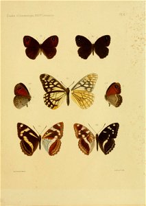 n136_w1150