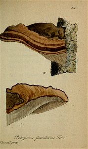 n220_w1150