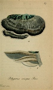 n160_w1150