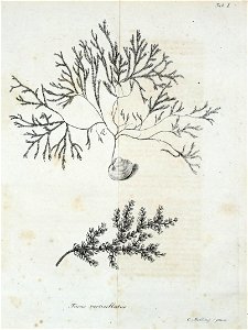 n482_w1150