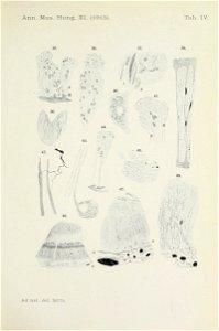 n662_w1150
