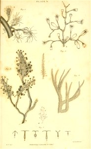 n496_w1150