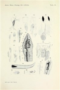 n658_w1150
