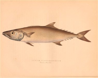 n87_w1150