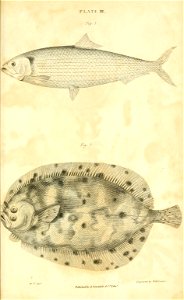 n492_w1150