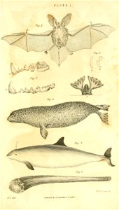n488_w1150