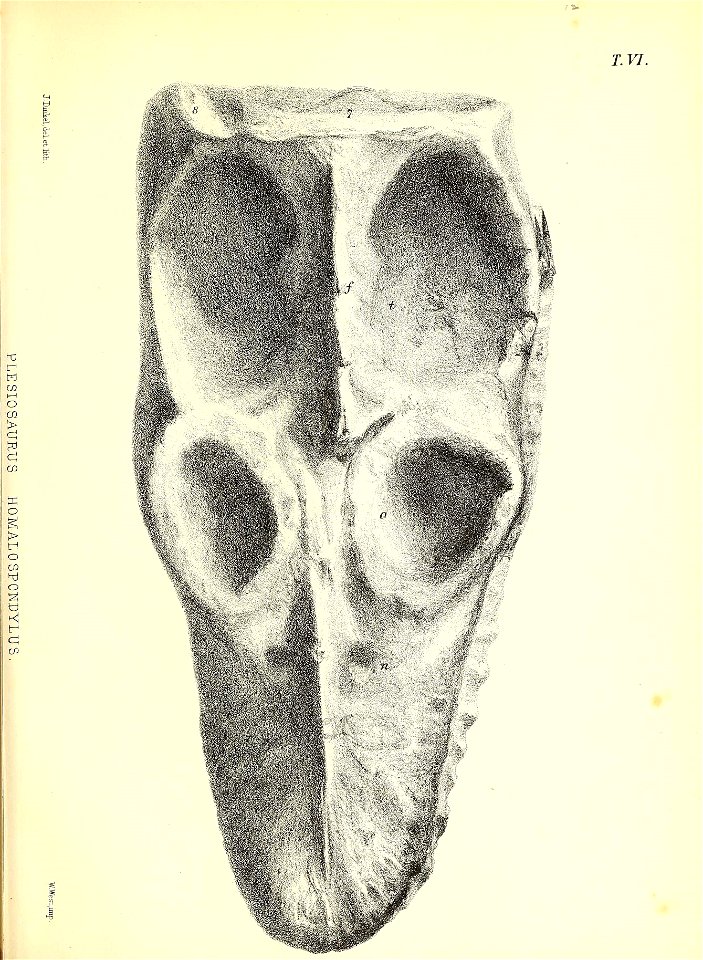n214_w1150