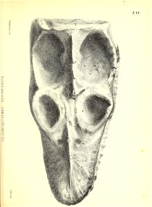 n214_w1150