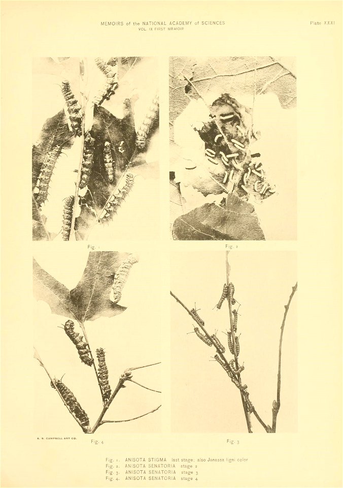 n280_w1150