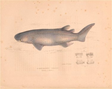 n5_w1150