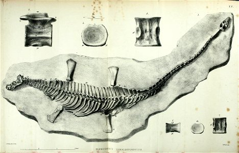 n210_w1150