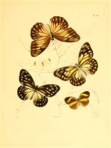 n102_w1150