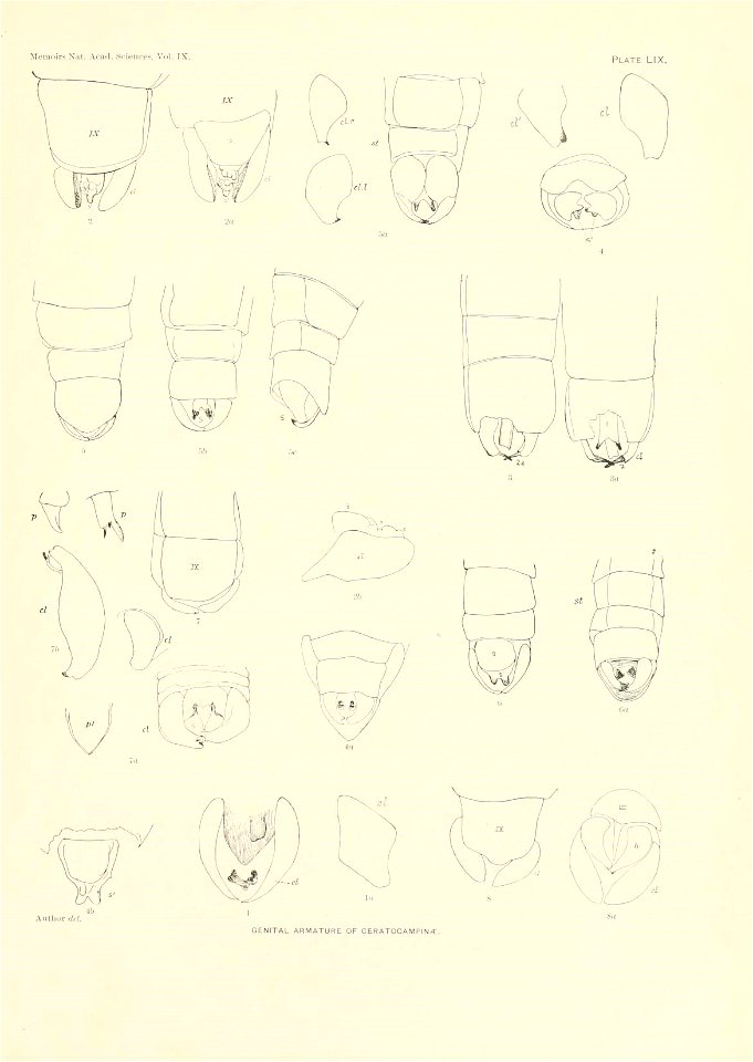 n392_w1150