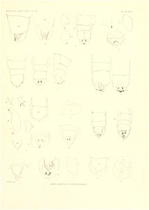 n392_w1150