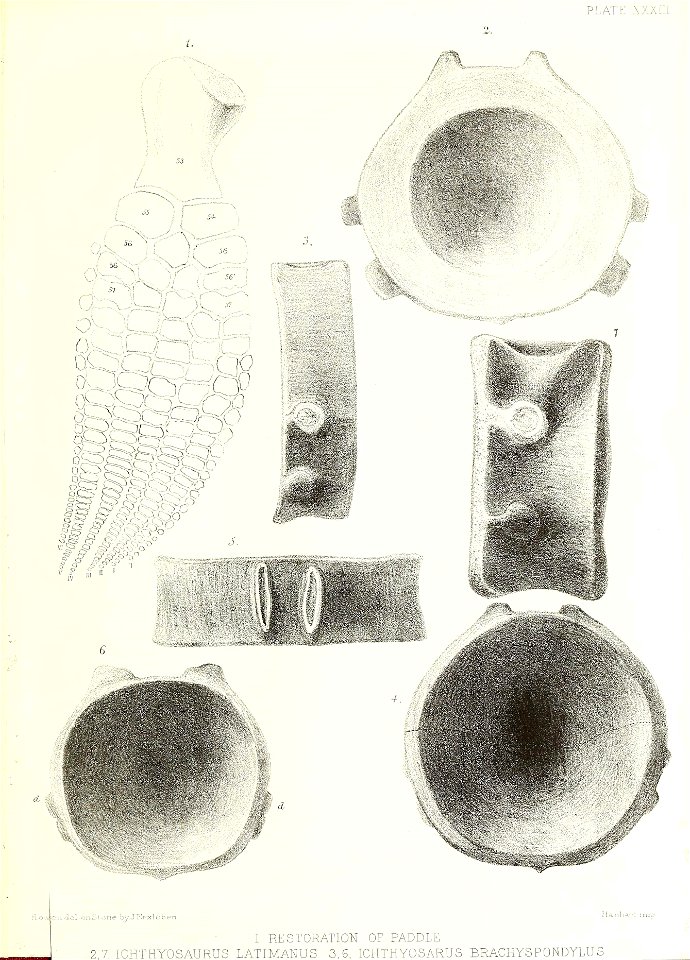 n436_w1150