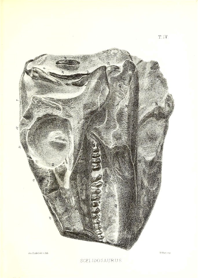 n50_w1150