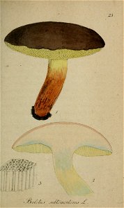 n432_w1150