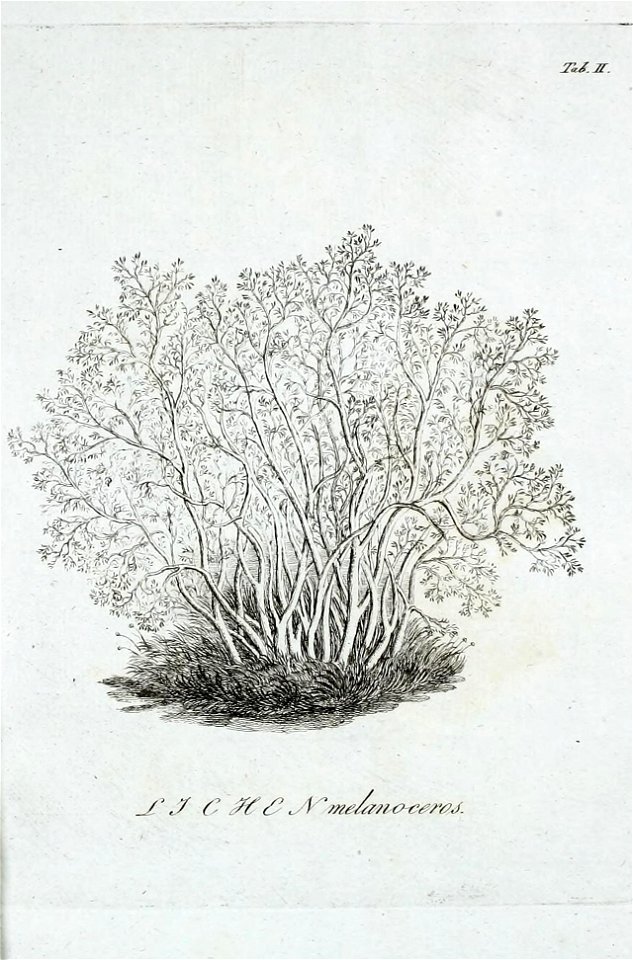 n506_w1150