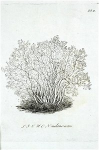 n506_w1150