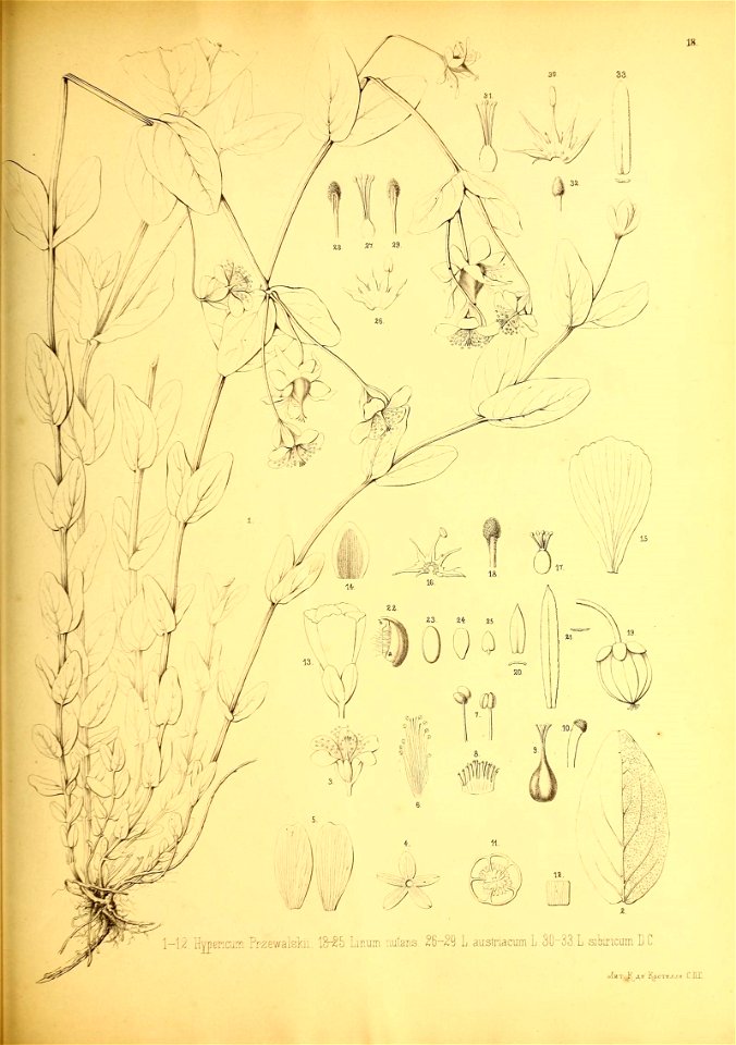 n176_w1150