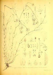 n176_w1150