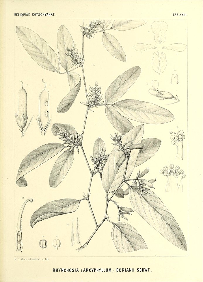 n578_w1150