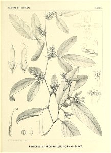 n578_w1150
