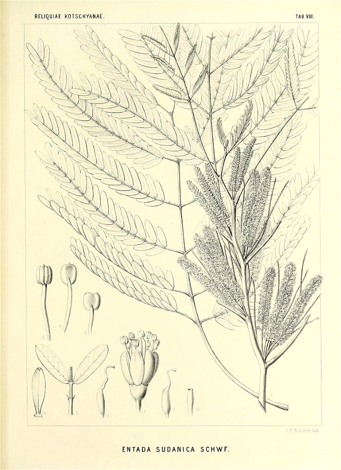 n548_w1150