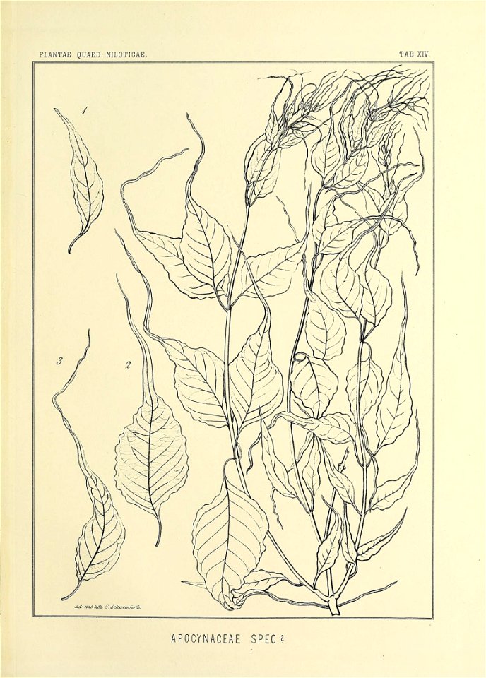n94_w1150